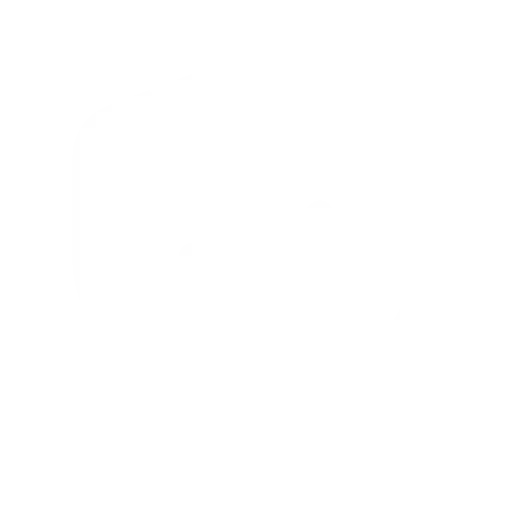 secure icon